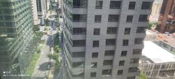 PLUS (D1), Office #559413011